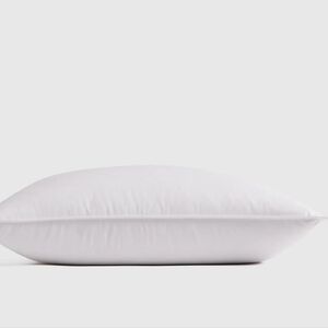Quince King Down Alternative Pillow Medium / Firm NEW In Bag